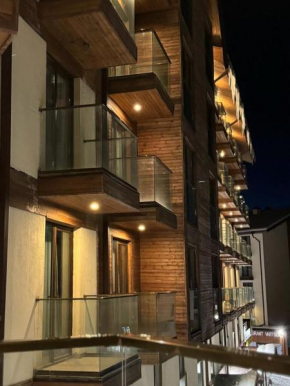 Cozy modern apartment in Gudauri